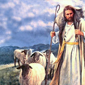Притча про овець і козлів: що означає? Чому слід “бути вівцями”?
