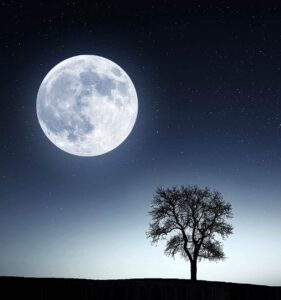 Що обов’язково зробити на чарівний Повний Блакитний Місяць в “Осетрі” 12 серпня: як «чотири двійки» в небезпечній дати змінять життя?