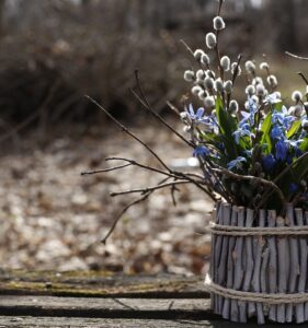 Багатство принесе квітка: чарівні прикмети на Вербну неділю 9 квітня 2023 – і як освячувати вербу?